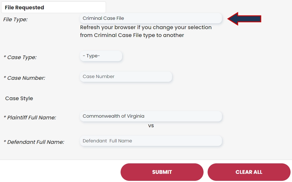 Screenshot of the online request form showing the section for file information, including file type and the case type, number, and style.